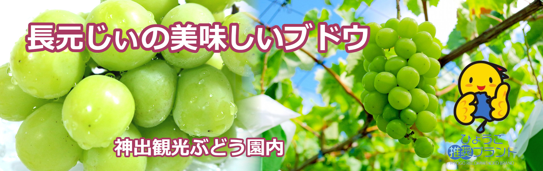 神戸グレープファーム